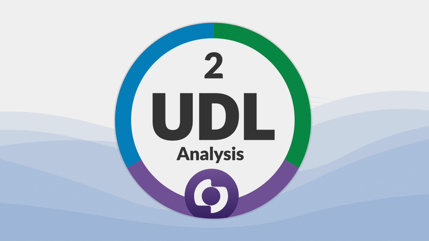 Credential 2: UDL Analysis Image