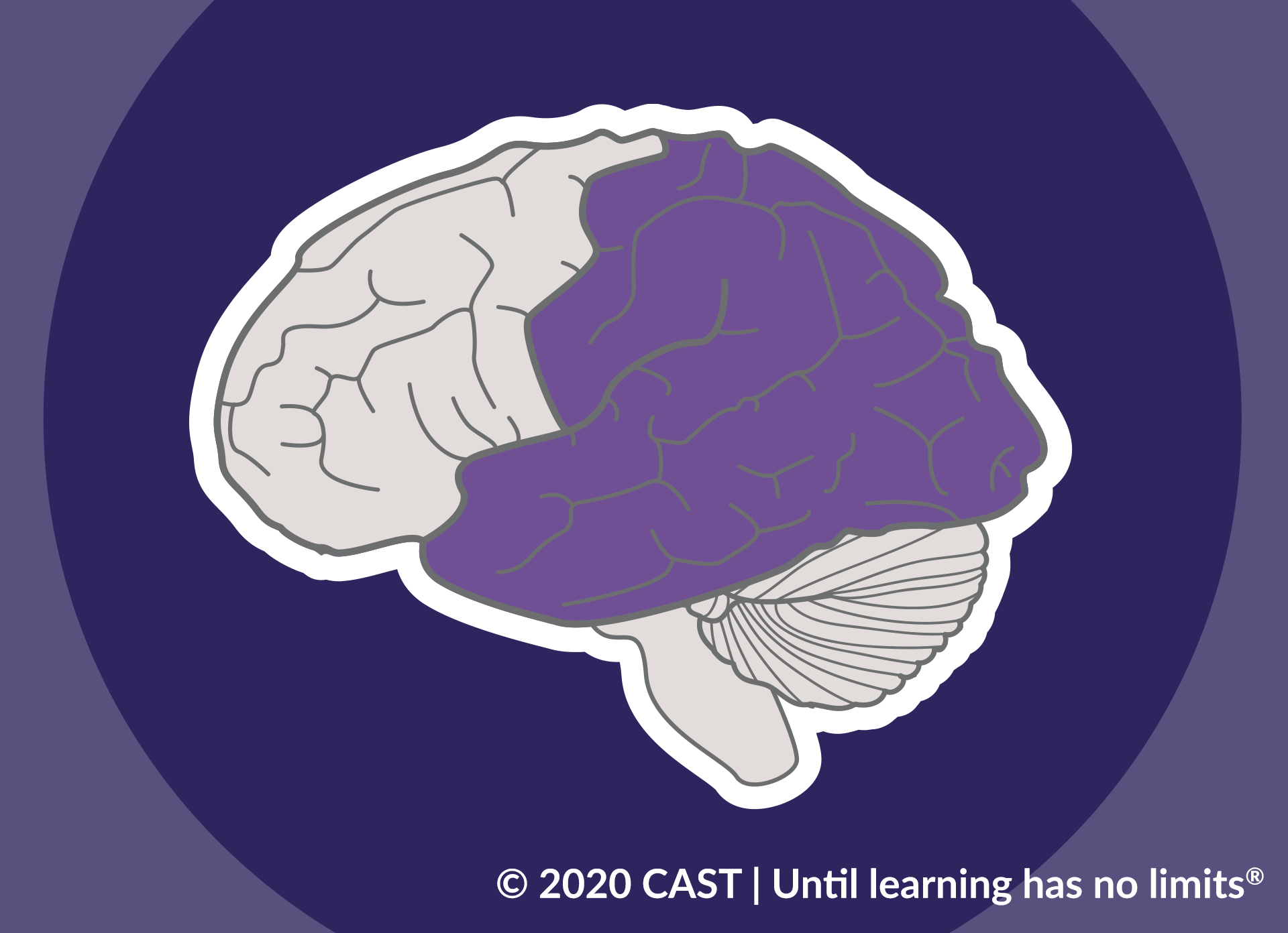 brain with purple highlighting for multiple means of representation