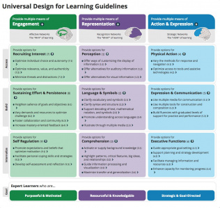 The UDL Guidelines (New) | Learning Designed