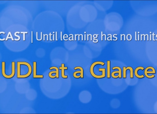 CAST | Until learning has no limits - UDL at a Glance