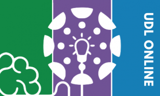 banner with three vertical stripes of green, purple, and blue with a lightbulb icon that reads UDL ONLINE