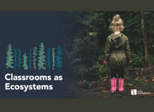 Classrooms as Ecosystems, One Workplace