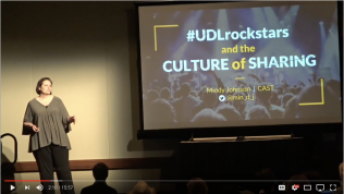 Mindy Johnson presents at the 2017 UDL-IRN Summit