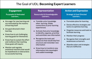 picture of the expert learner summary table