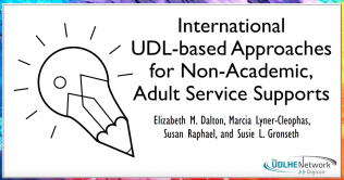 International UDL-based Approaches for Non-Academic, Adult Service Supports 