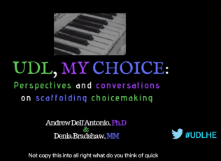 UDL, My Choice: Perspectives and conversations on scaffolding choicemaking 