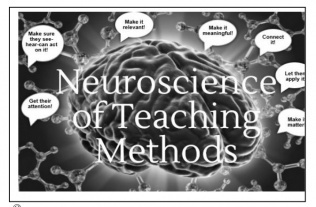 Neuroscience of Teaching Methods