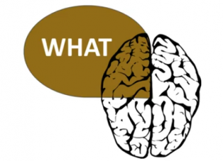 outline of human brain with the word, What, appearing in a brown bubble pointing at the brain
