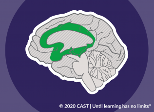 image of brain with green highlight of area emphasizing principle network of engagement 